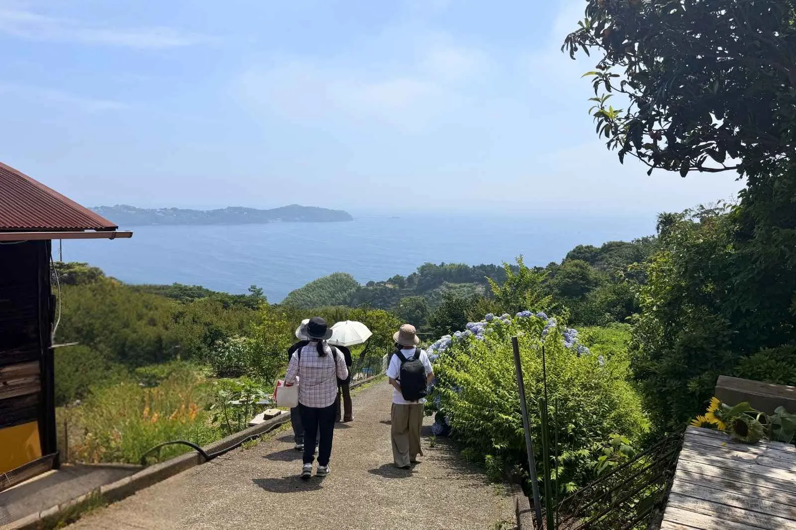 海を見下ろす畑で、梅を仕込む。ひとり旅好きが集った初夏の熱海