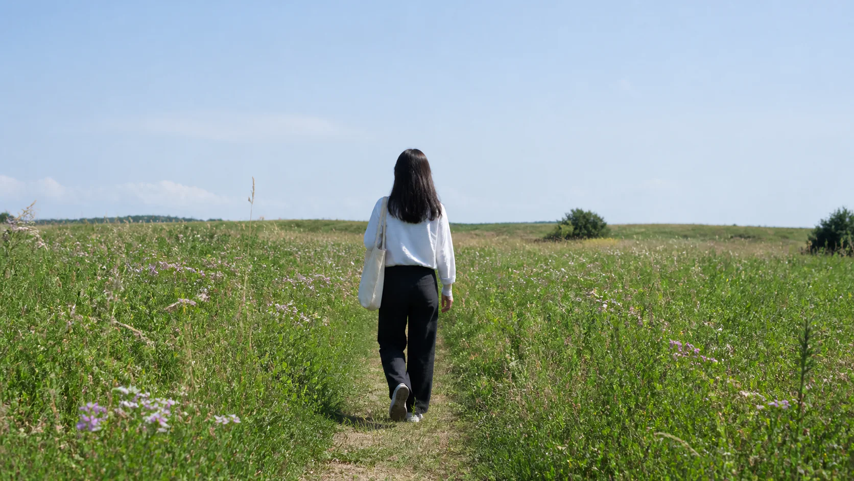 野花の咲く草原をひとりで歩く風景